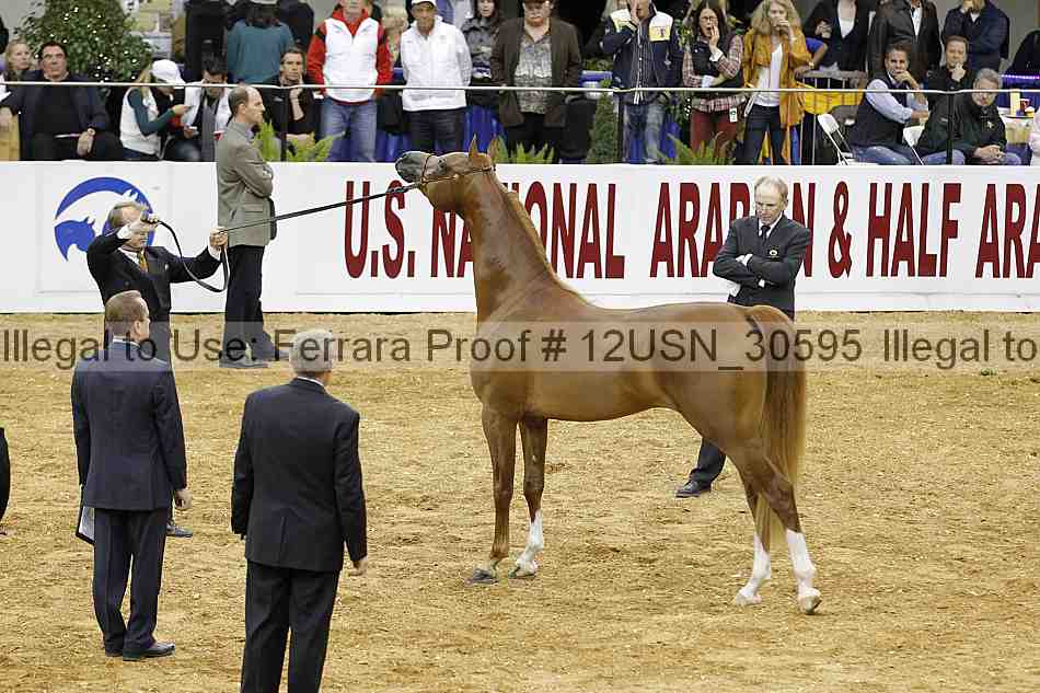 Proof 12usn_30595