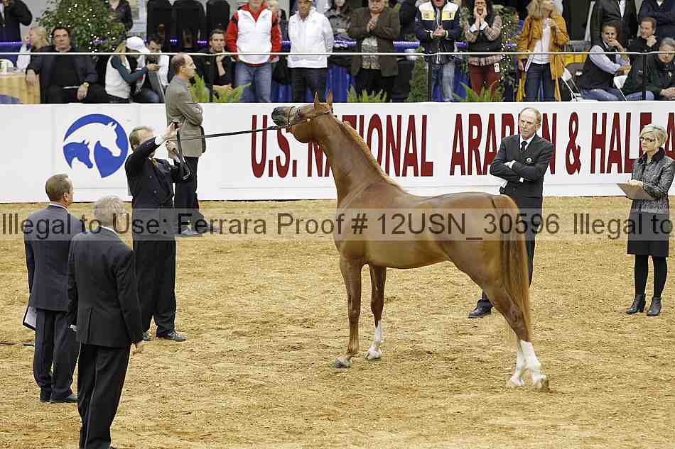 Proof 12usn_30596