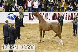 12usn_30596 proof