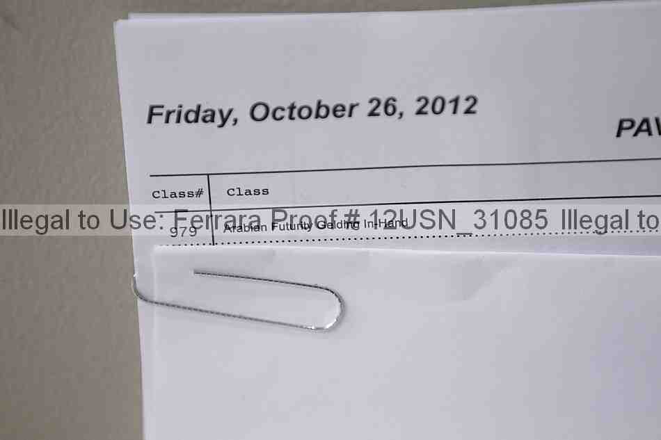 Proof 12usn_31085