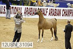 12usn_31094 proof