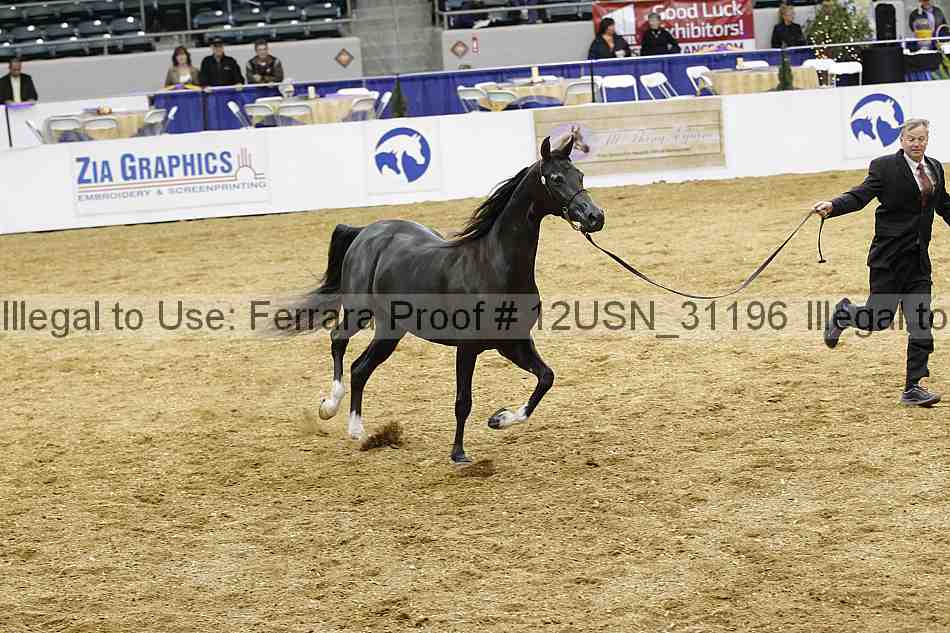 Proof 12usn_31196