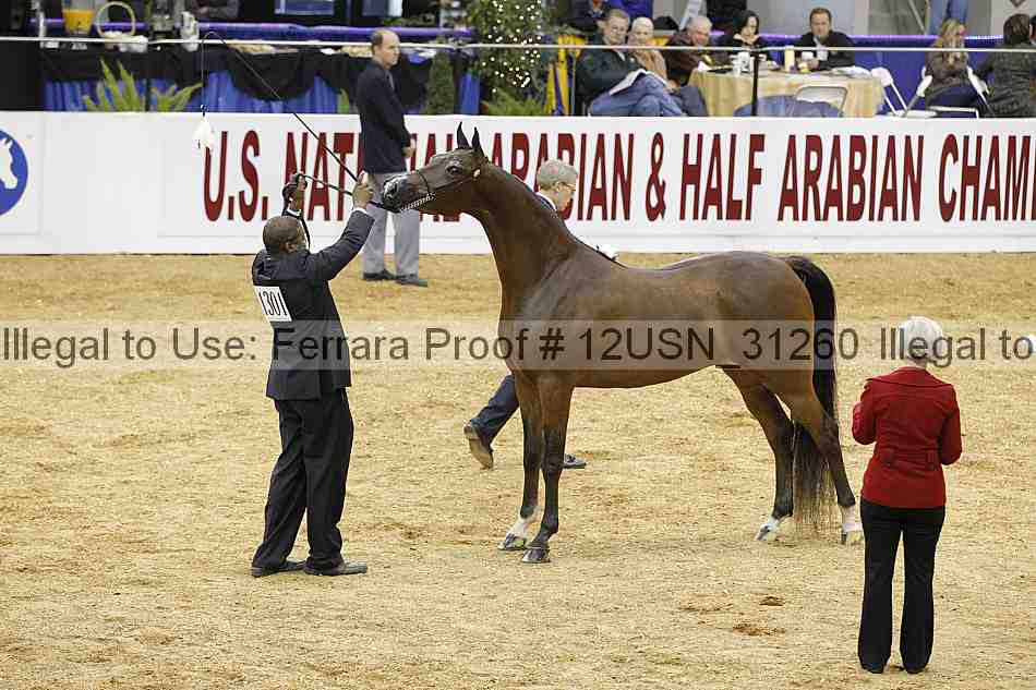 Proof 12usn_31260