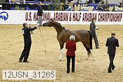 12usn_31265 proof