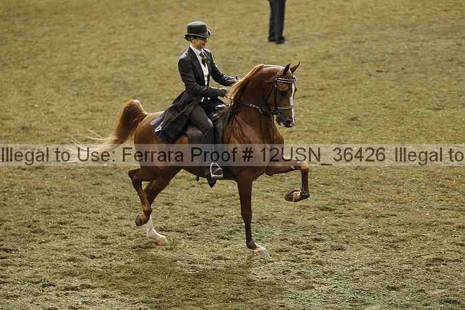 Proof 12usn_36426
