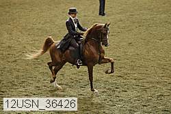 12usn_36426 proof