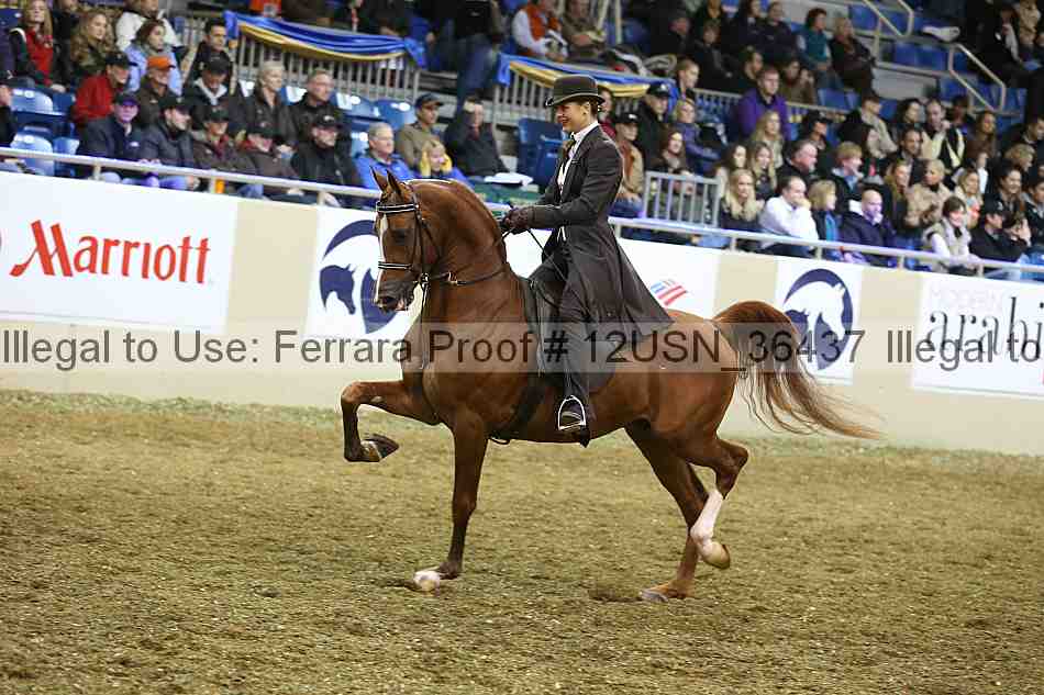 Proof 12usn_36437