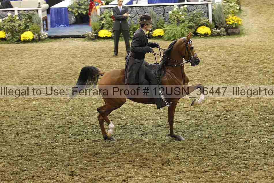 Proof 12usn_36447