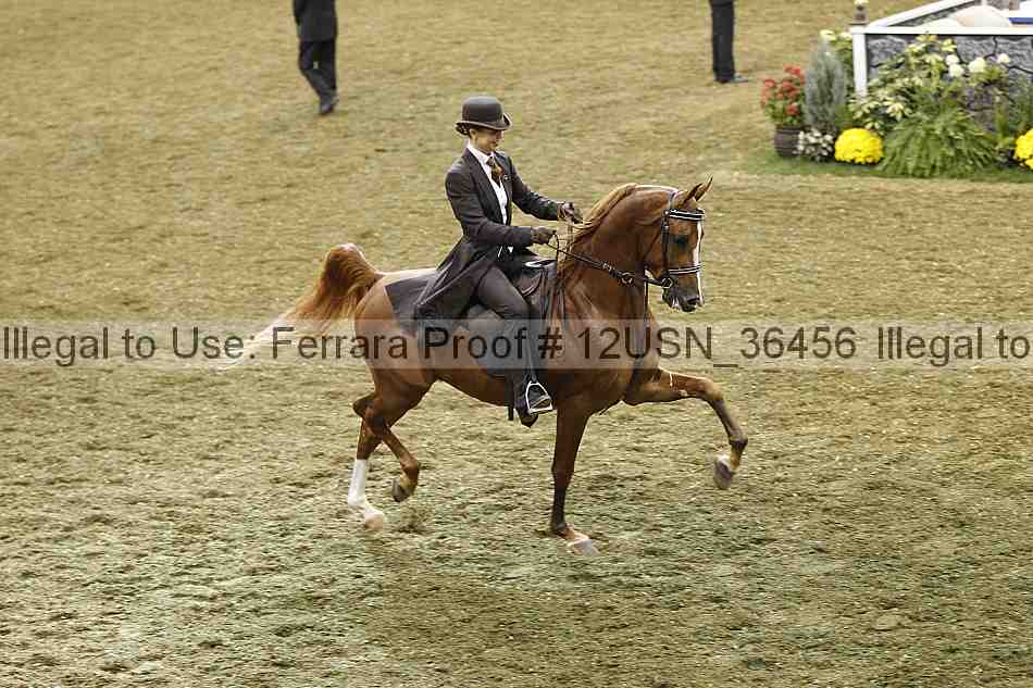 Proof 12usn_36456