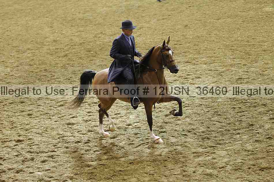 Proof 12usn_36460