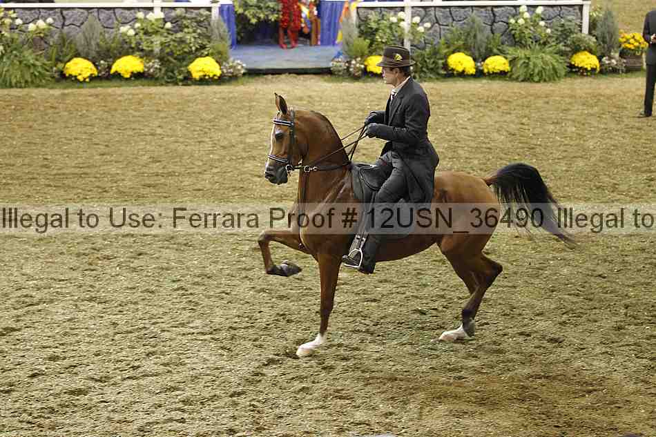 Proof 12usn_36490