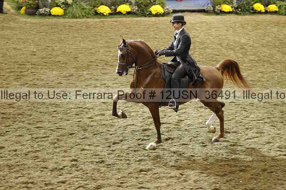 Proof 12usn_36491