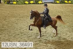 12usn_36491 proof