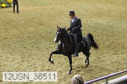 12usn_36511 proof