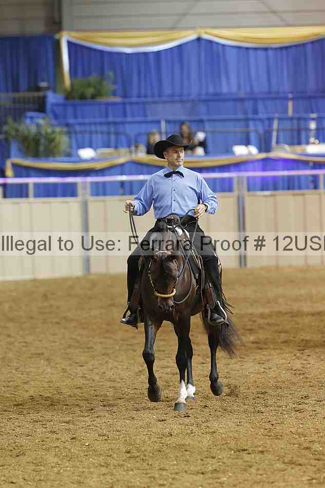 Proof 12usn_07696