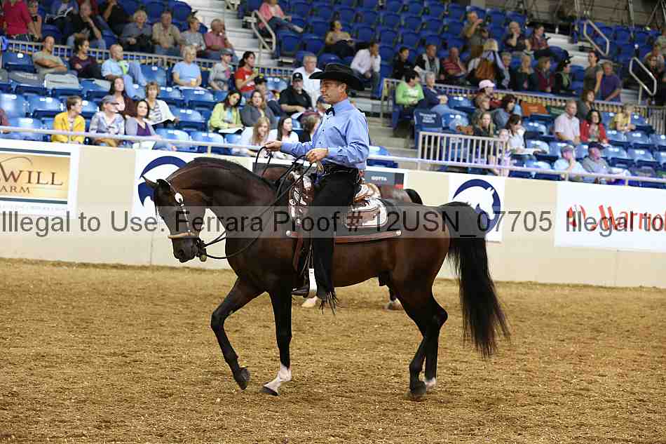 Proof 12usn_07705