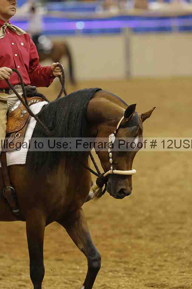Proof 12usn_07729