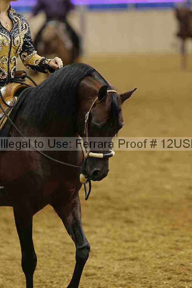 Proof 12usn_07730