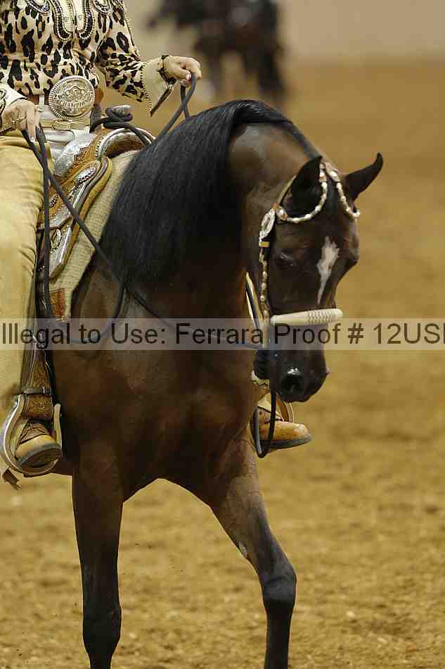 Proof 12usn_07731