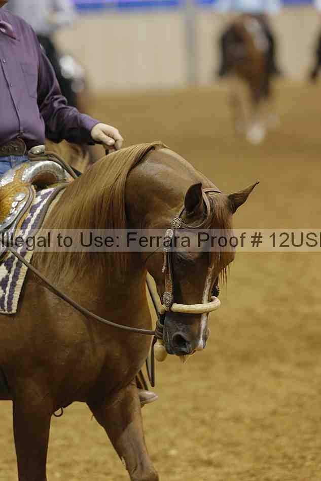 Proof 12usn_07732