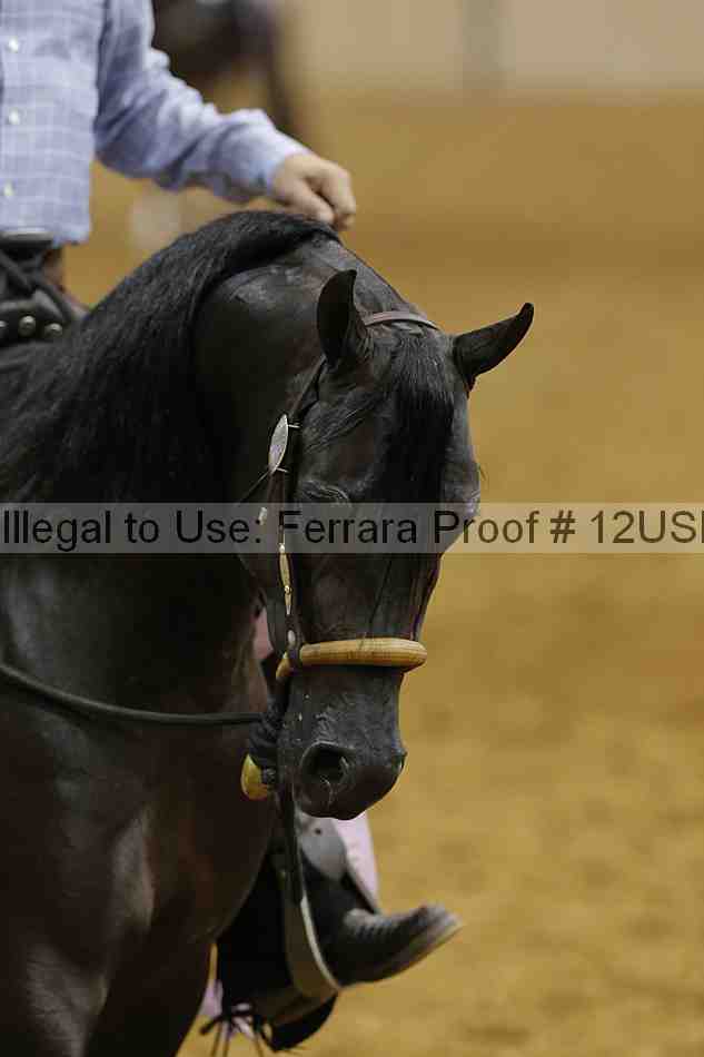 Proof 12usn_07739