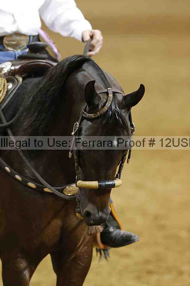 Proof 12usn_07742