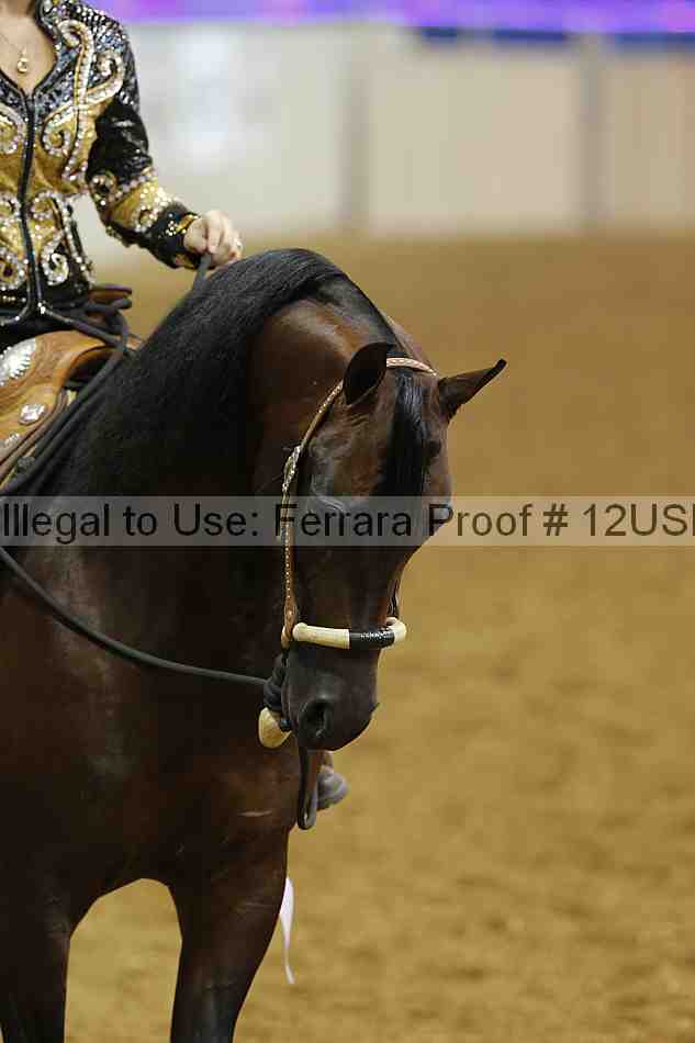 Proof 12usn_07758