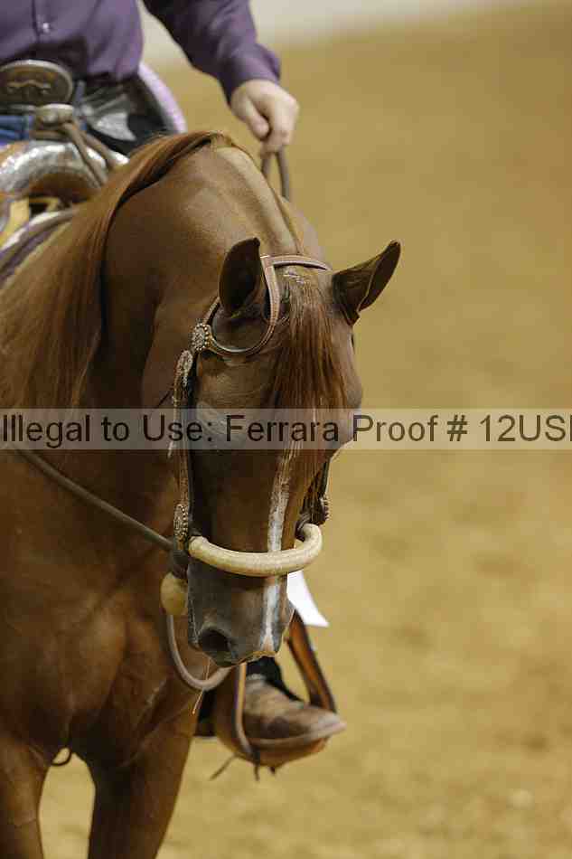 Proof 12usn_07759