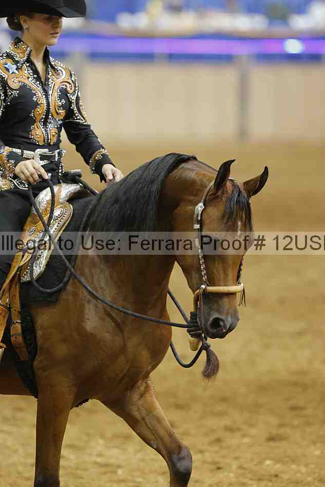 Proof 12usn_07785