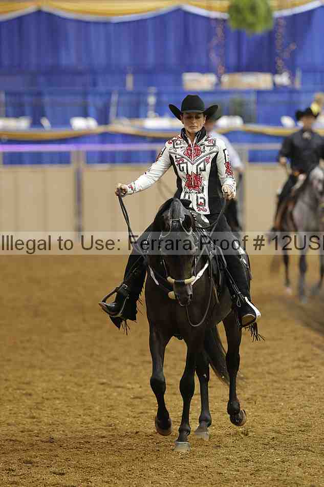 Proof 12usn_07796