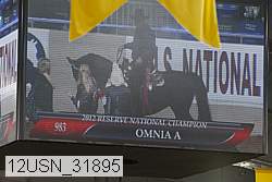 12usn_31895 proof