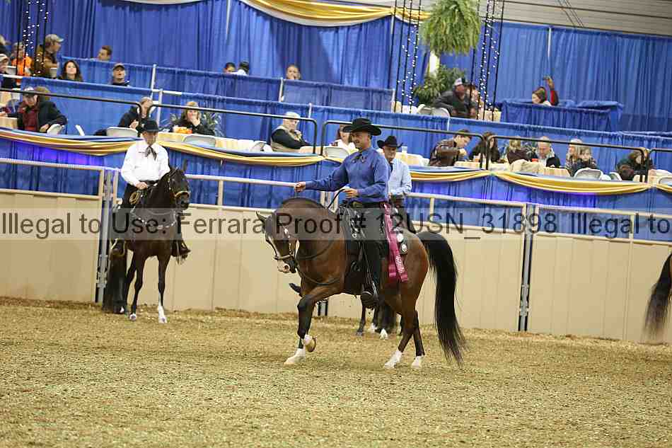 Proof 12usn_31898