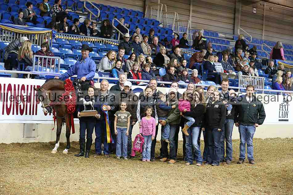 Proof 12usn_31925