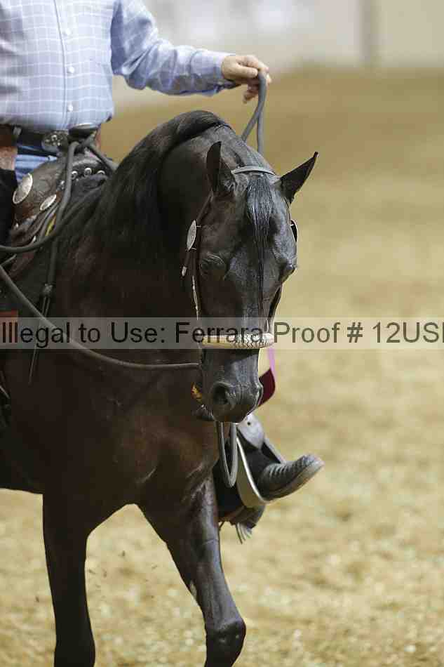 Proof 12usn_31964