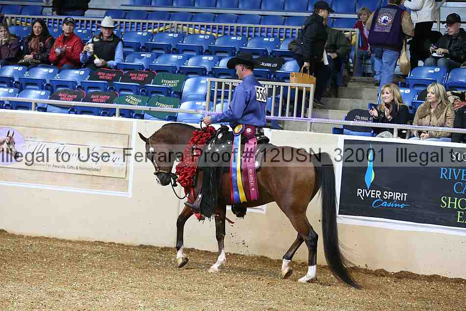 Proof 12usn_32001