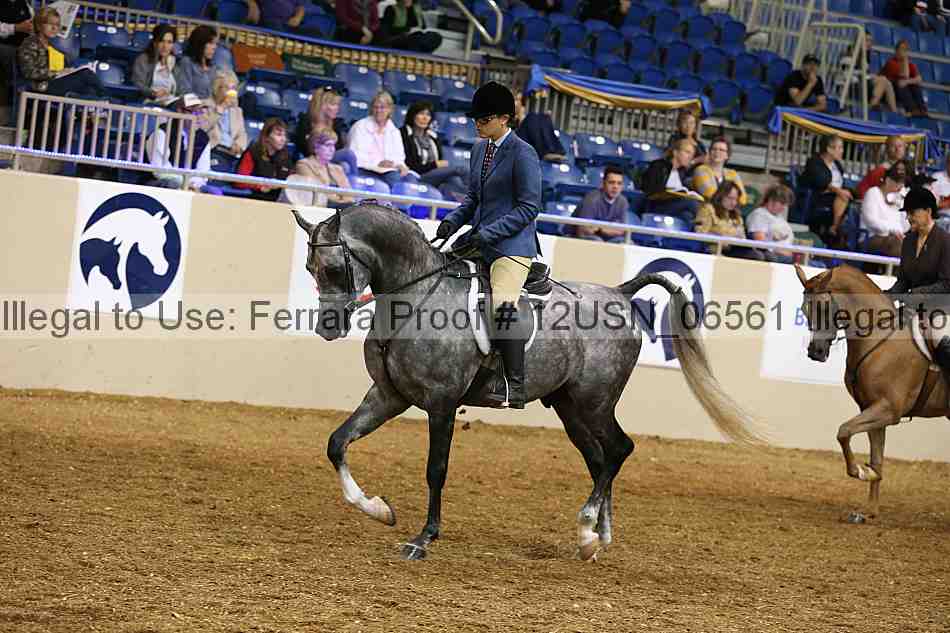 Proof 12usn_06561