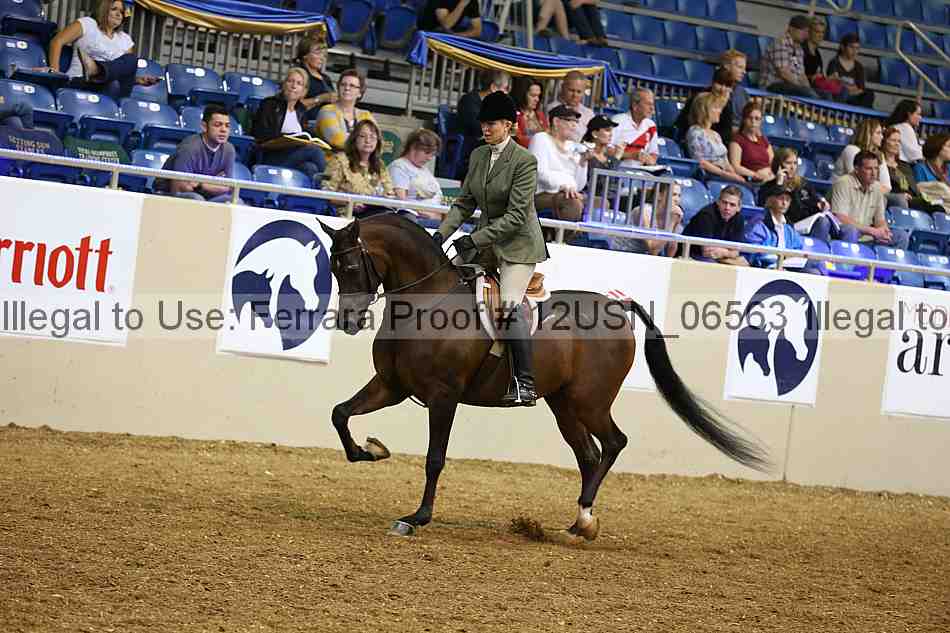 Proof 12usn_06563