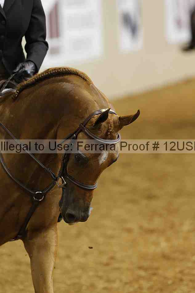 Proof 12usn_06568