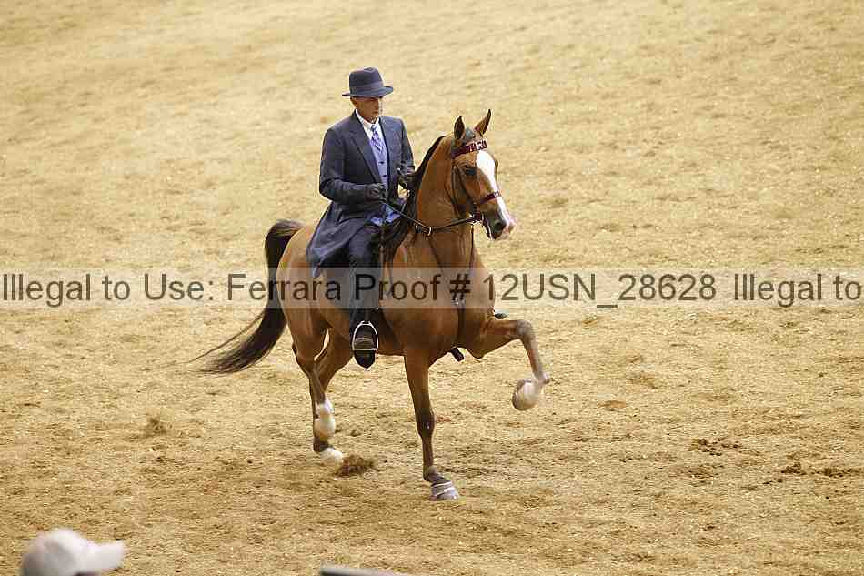 Proof 12usn_28628