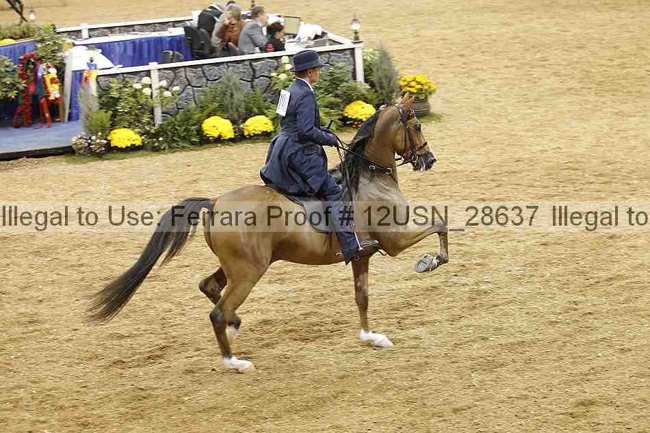 Proof 12usn_28637