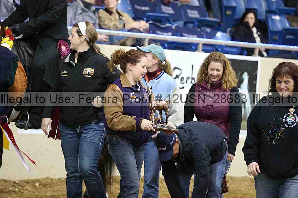 Proof 12usn_28683