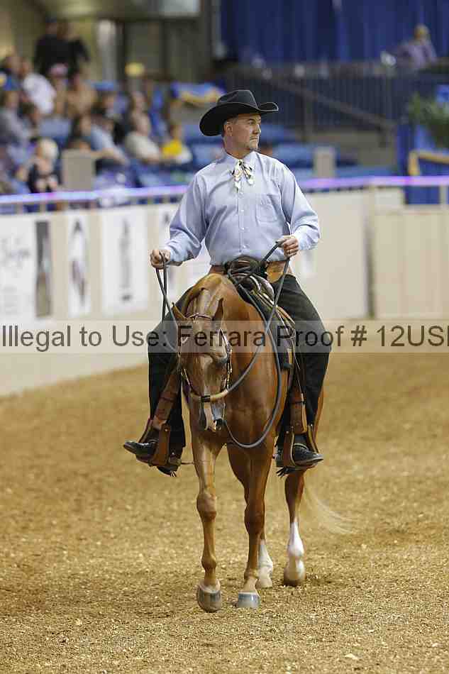 Proof 12usn_03576