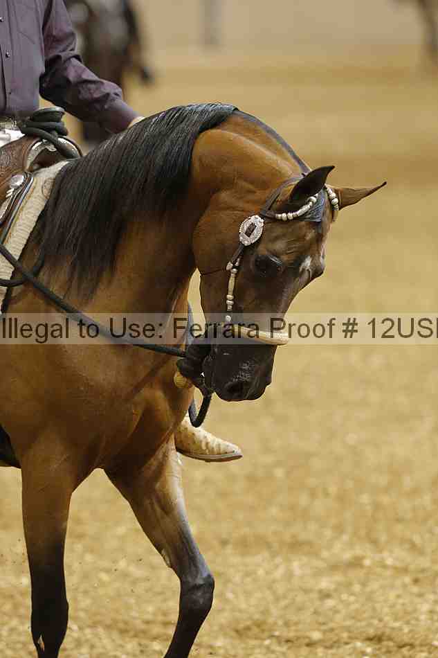 Proof 12usn_03590