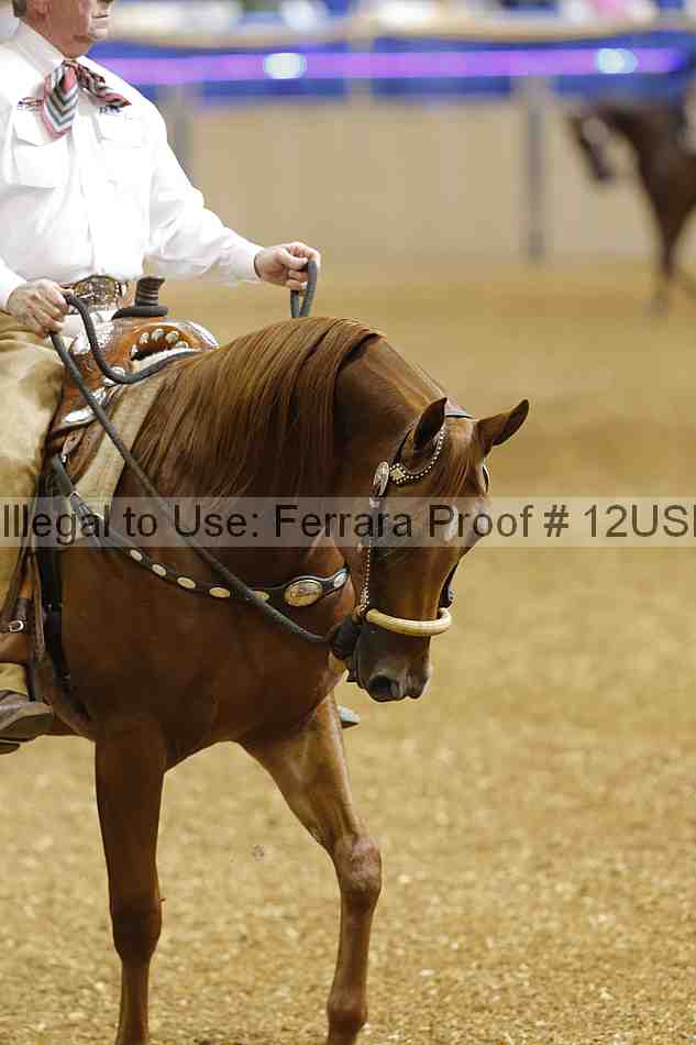 Proof 12usn_03594