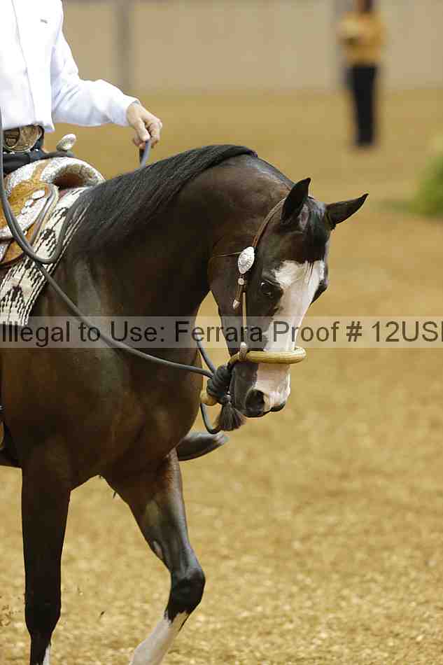 Proof 12usn_03596