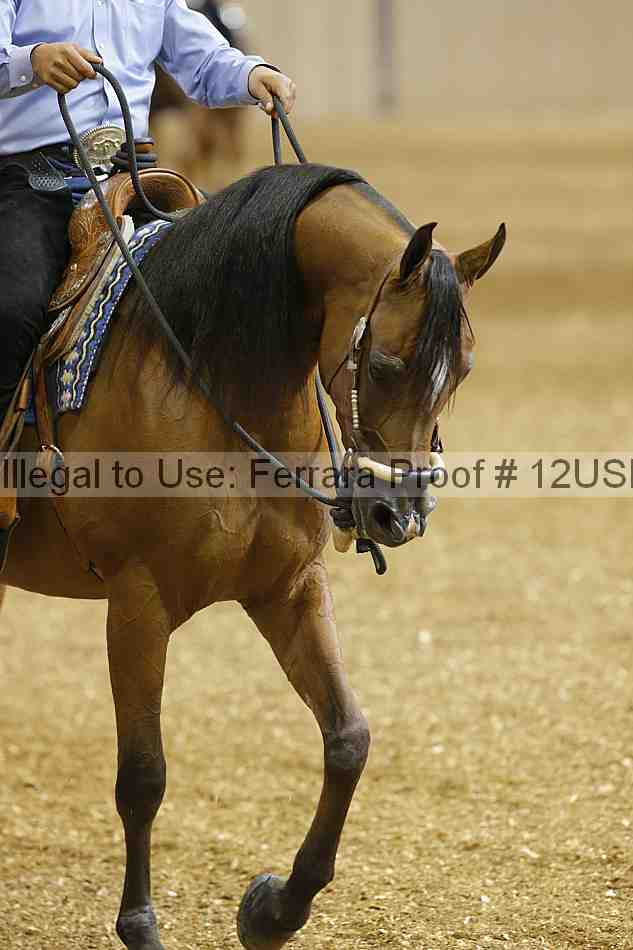 Proof 12usn_03597