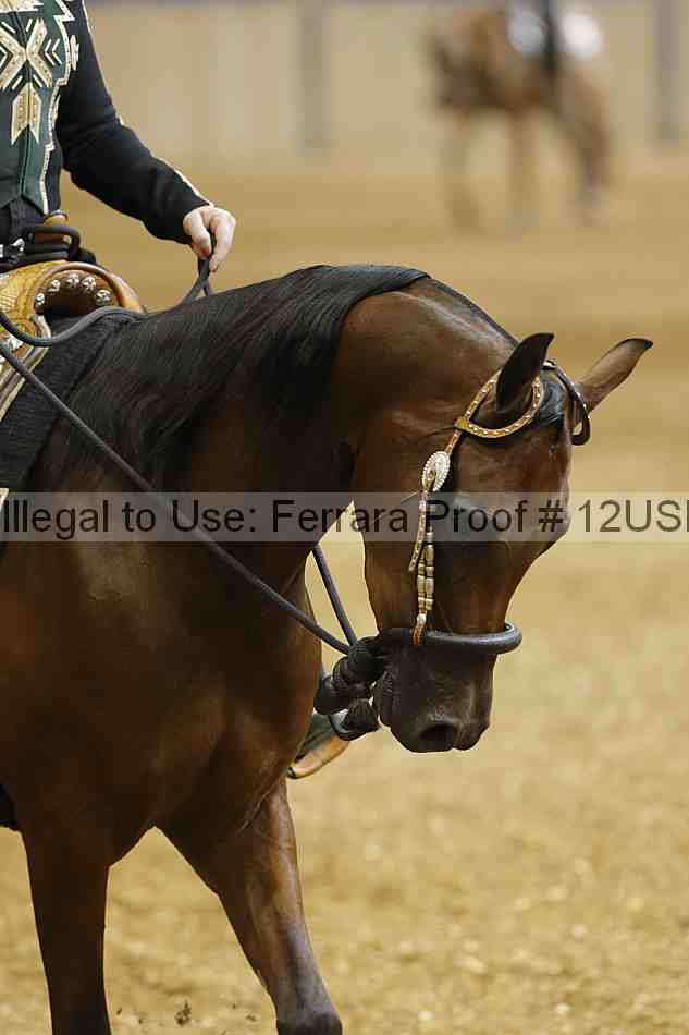 Proof 12usn_03605