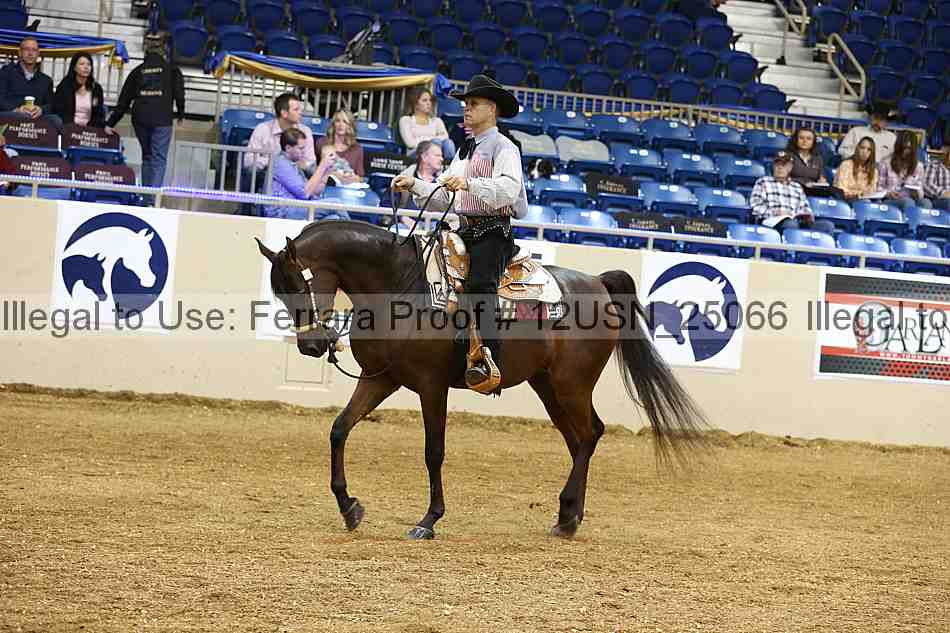 Proof 12usn_25066