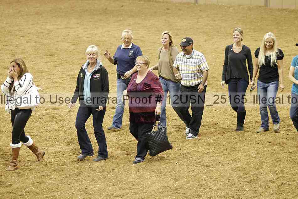 Proof 12usn_25165