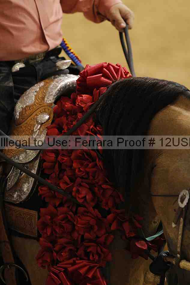 Proof 12usn_25270